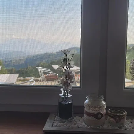 Machwirth Konukevi Griffen