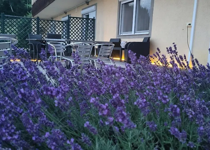 Machwirth Гостевой дом Griffen